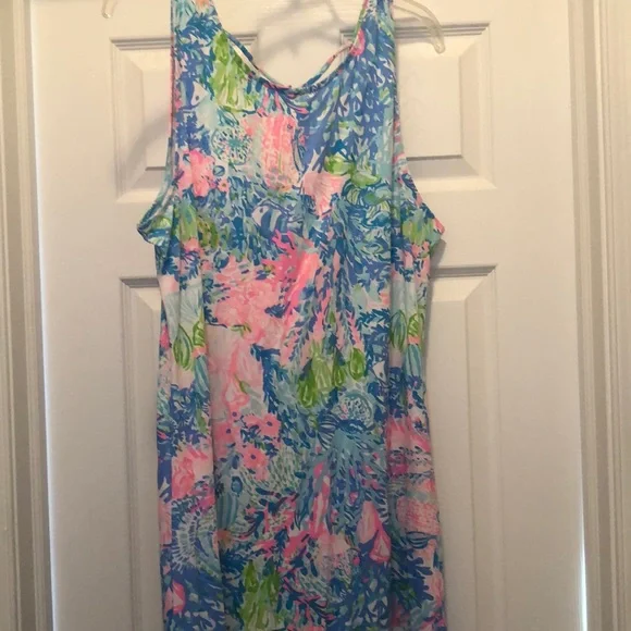 Lilly Pulitzer Blue and Pink Maxi Dress - Picture 1 of 10